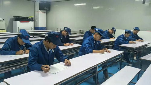 掌握职业技能，增值自我人生——第一工厂工程技术岗位评审认证与信息技术咨询服务解析